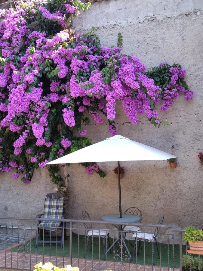 Il Giardino Di Laura Lejlighed Toscolano Maderno Eksteriør billede